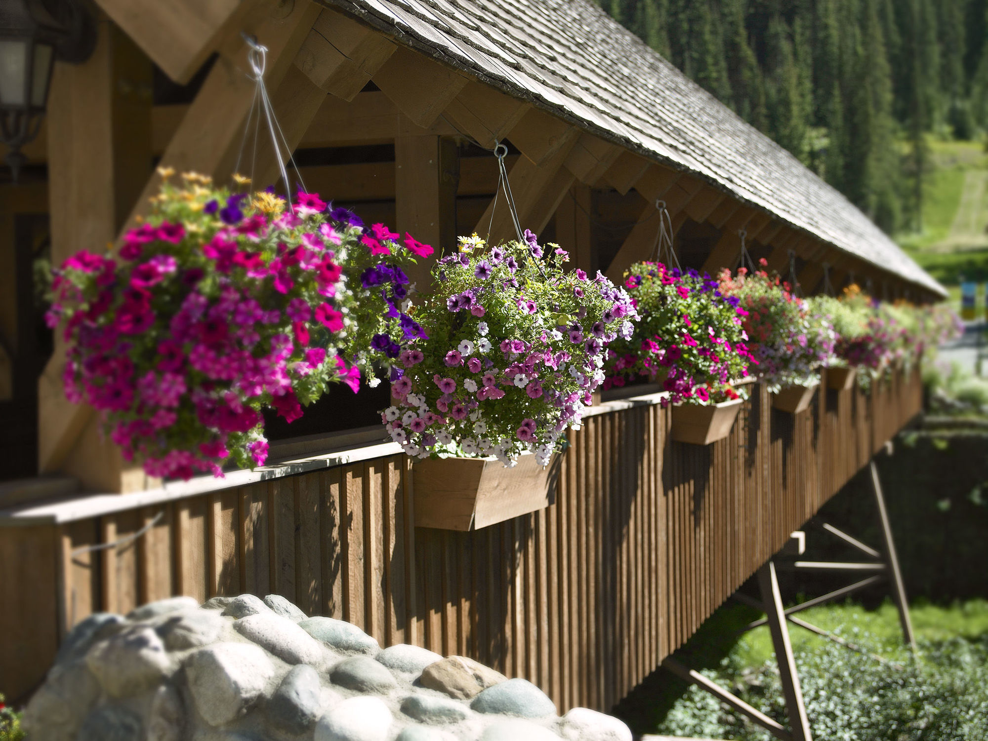 Sundance Lodge Сан-Пікс Екстер'єр фото